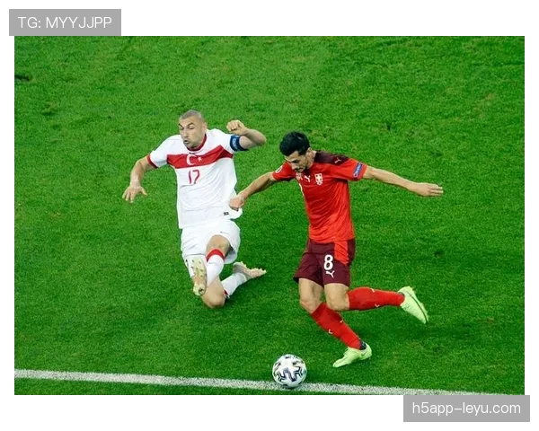 匈牙利队欧洲杯表现稳步提升，迎来历史性突破与未来希望