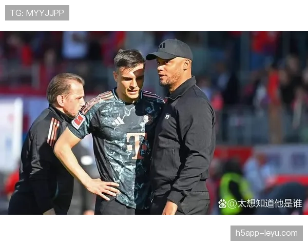 德甲转会窗口将启，各队补强动向引关注