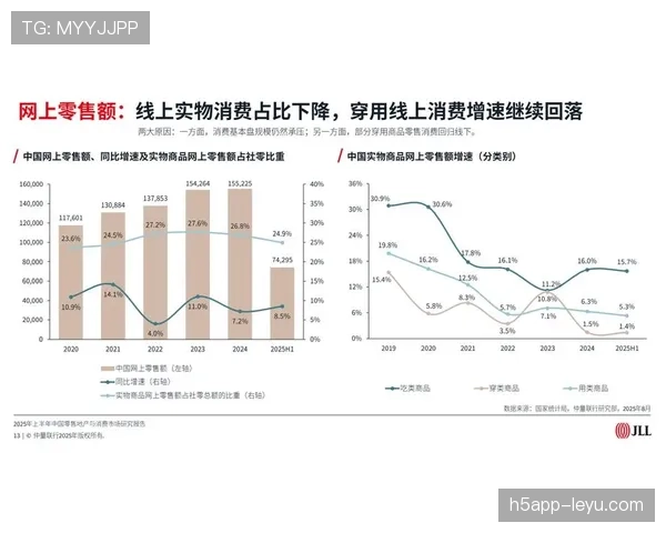 数据分析揭示最新消费趋势，年轻人偏爱线上购物，传统零售挑战加剧