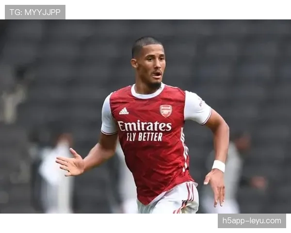 威廉·萨利巴：阿森纳防线核心角色解析